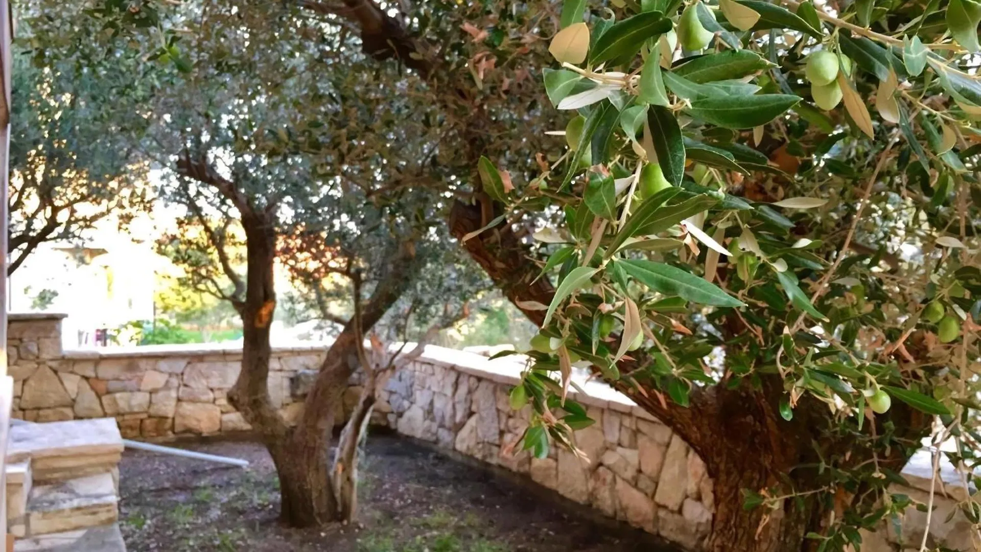 Olive House Apartment A4 Maslenica