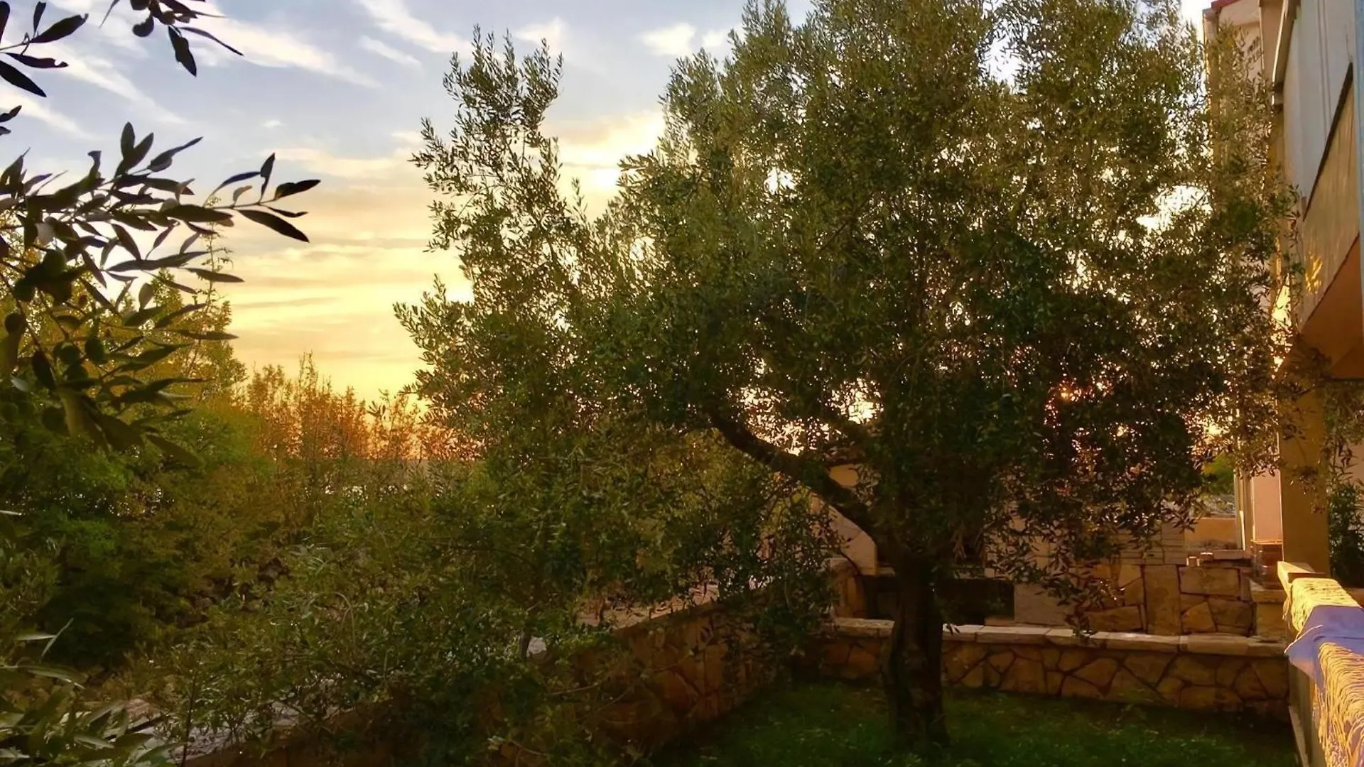 Olive House Apartment A4 Maslenica 0*,